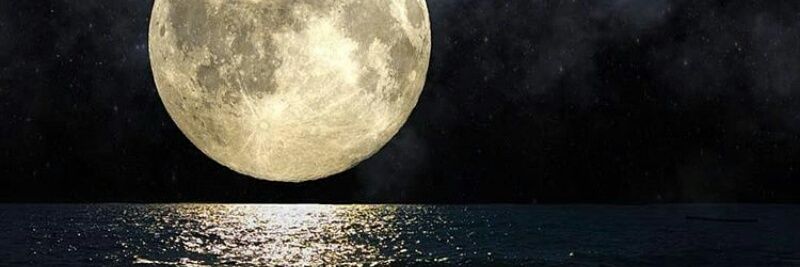 SamaAngel42's profile banner image
