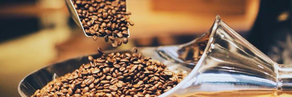 SbuxFreshPond's profile banner image