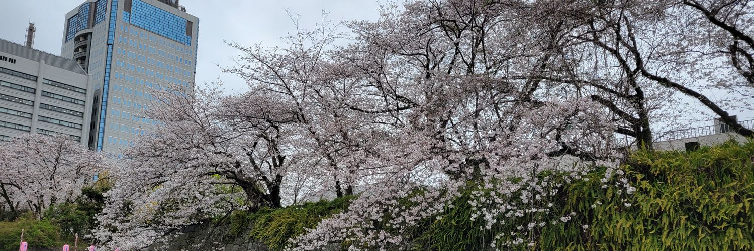 kyonp0125's profile banner image