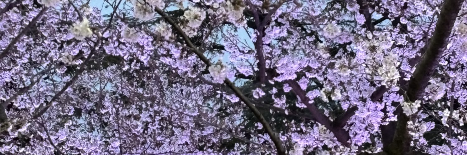 amhksj's profile banner image