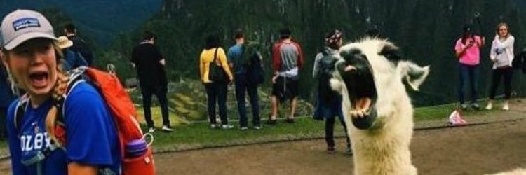 CariAngelina34's profile banner image