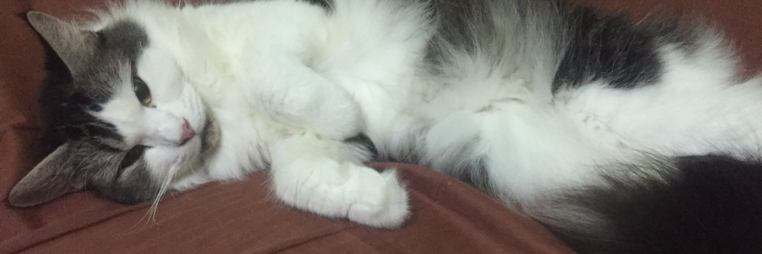 Soorayaaaaaaaaa's profile banner image