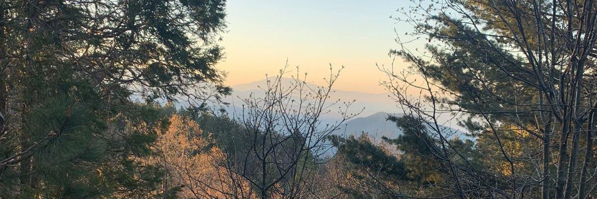 Kuxtal00's profile banner image