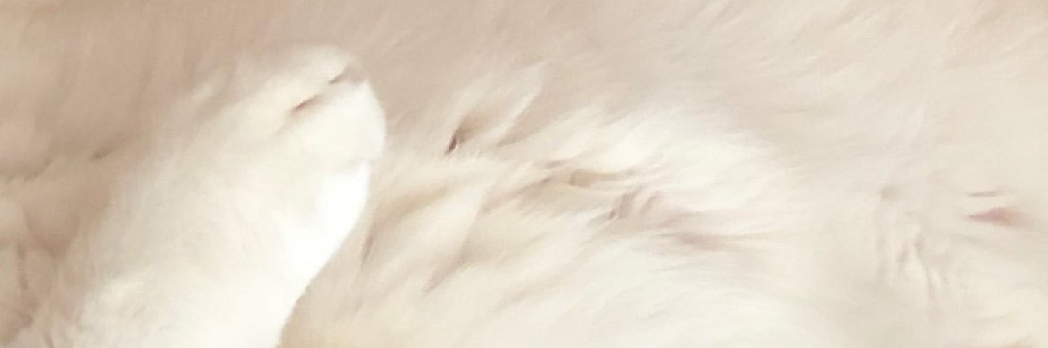 akisabe_x's profile banner image