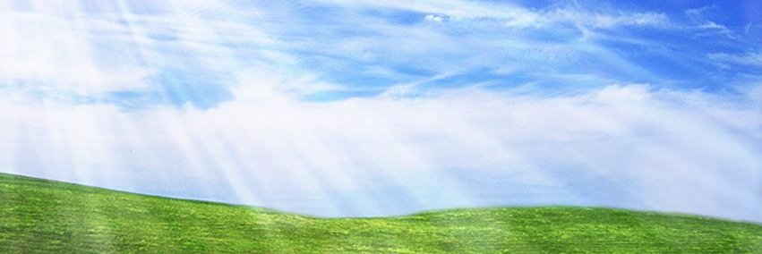 y550550's profile banner image