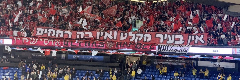 yoramav banner