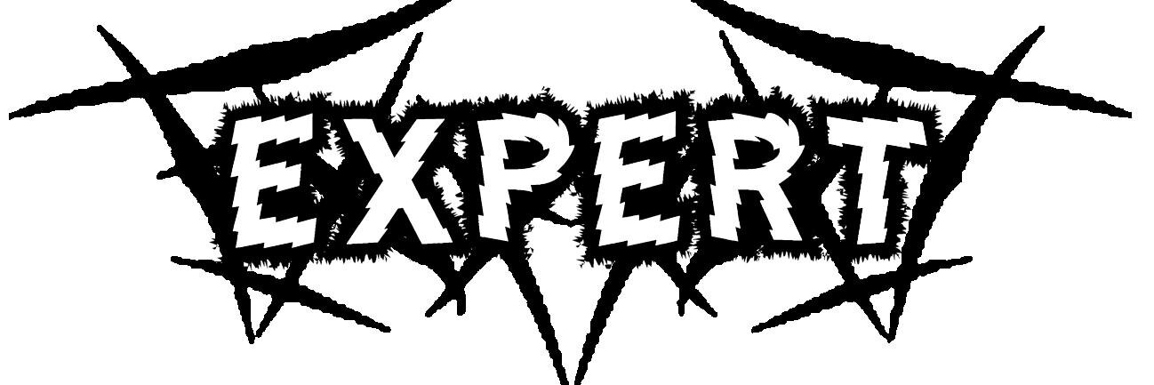 || EXPERT Inc banner