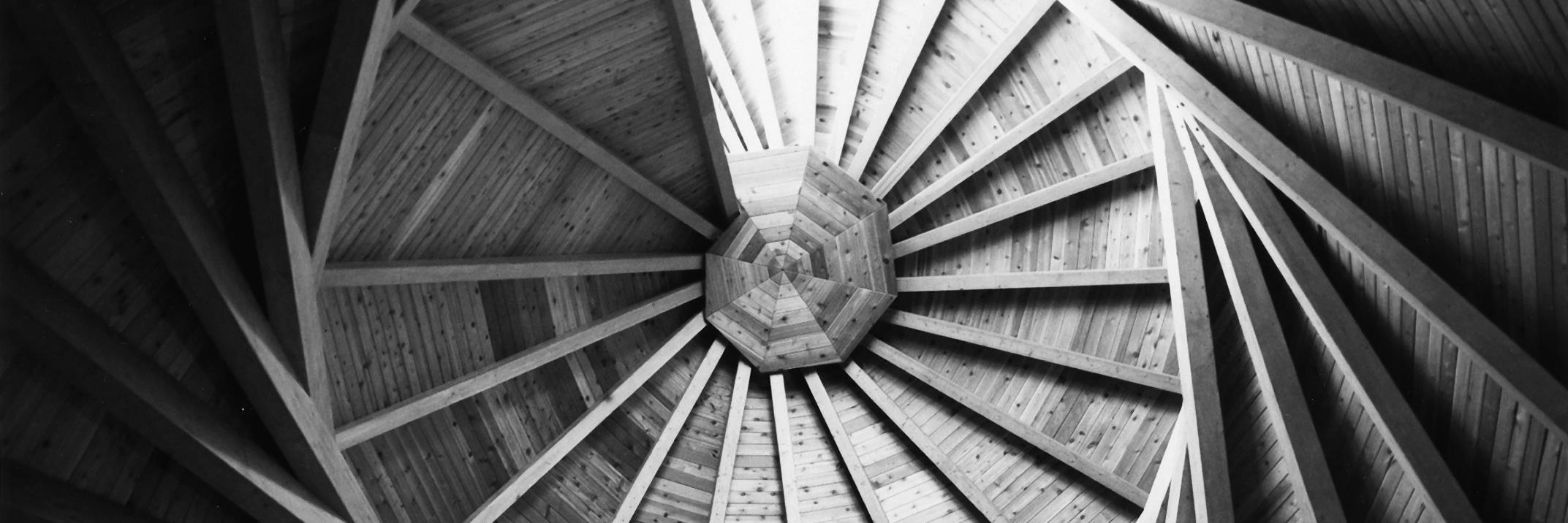 Serena Keshavjee banner