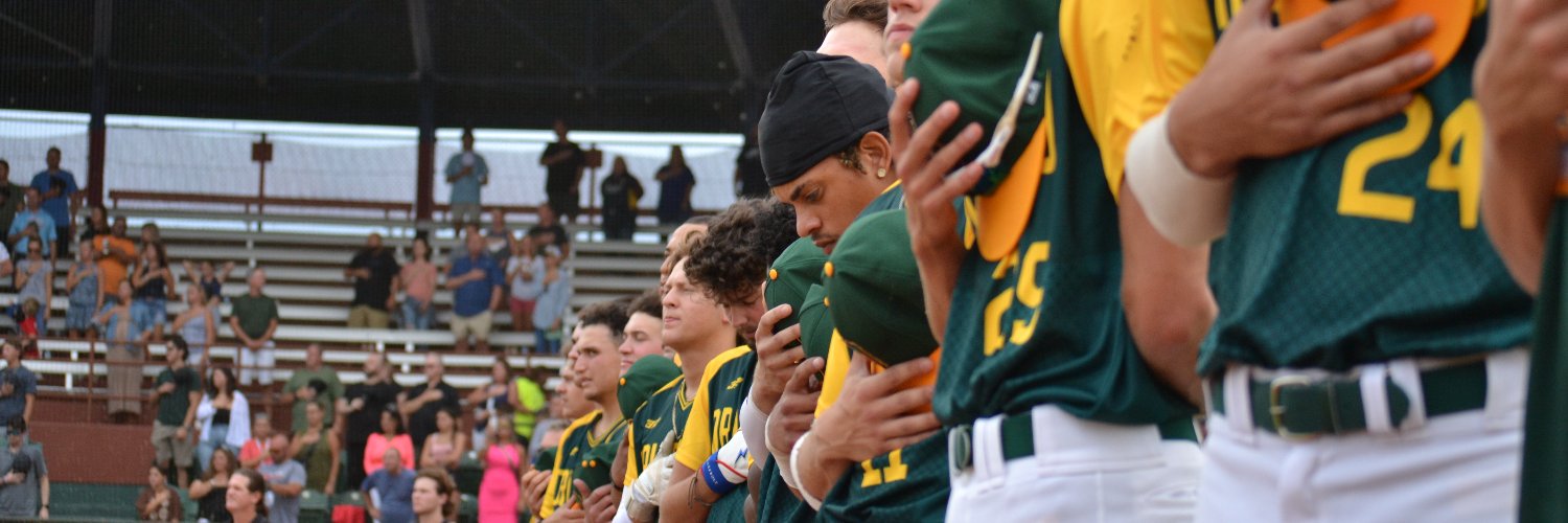 Orlando Snappers banner