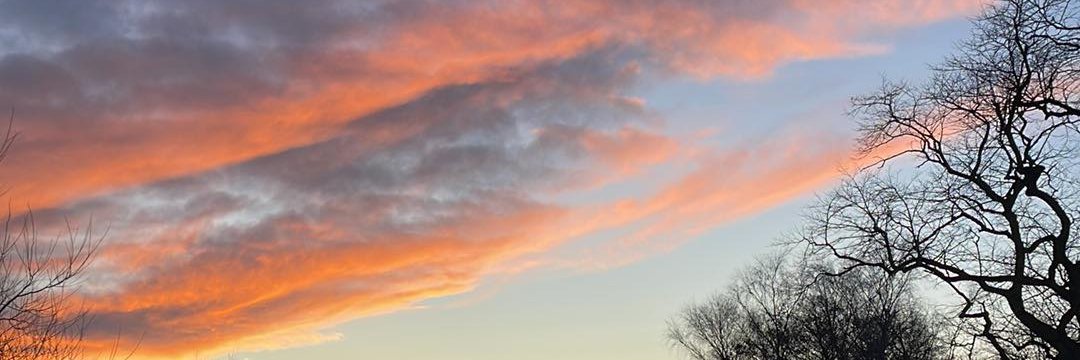 MaxineMeighan's profile banner image