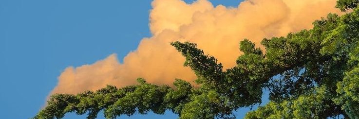 ardger_'s profile banner image