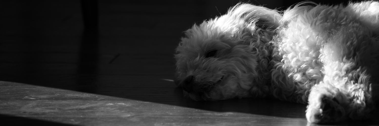 cVlurry's profile banner image