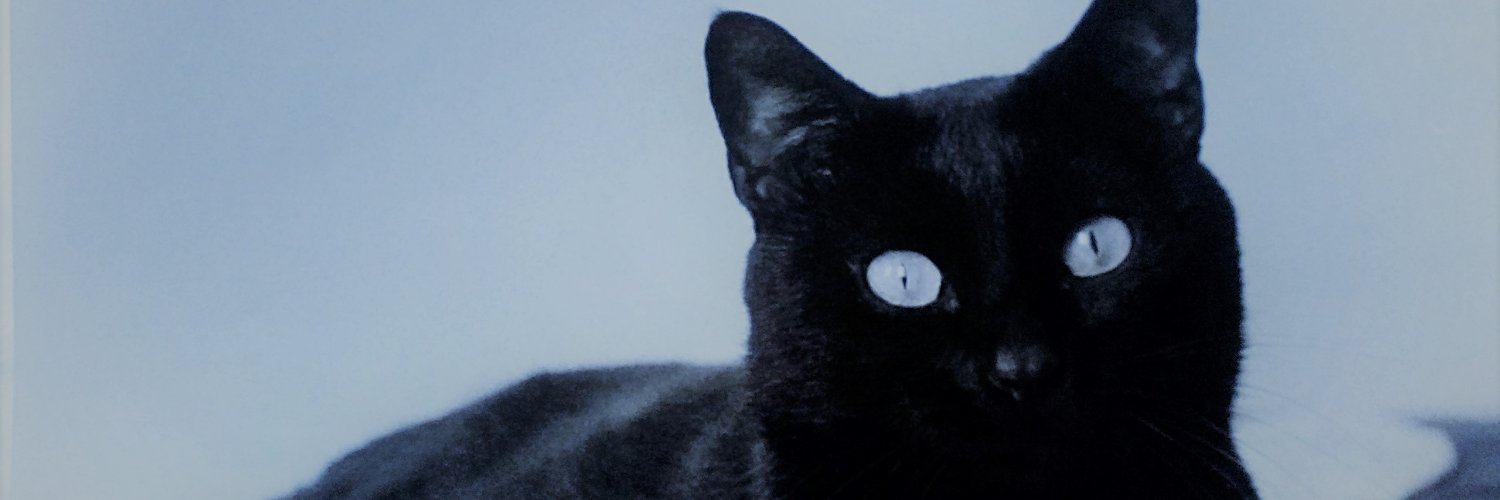 RobertaRobydy's profile banner image