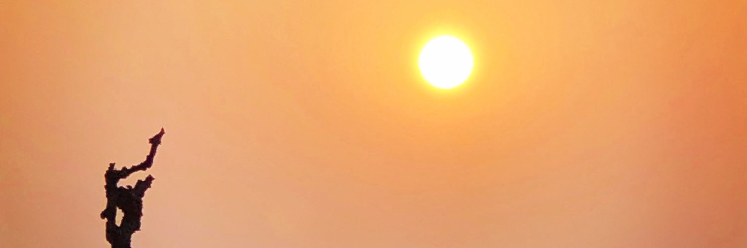 ecoadhsandip's profile banner image
