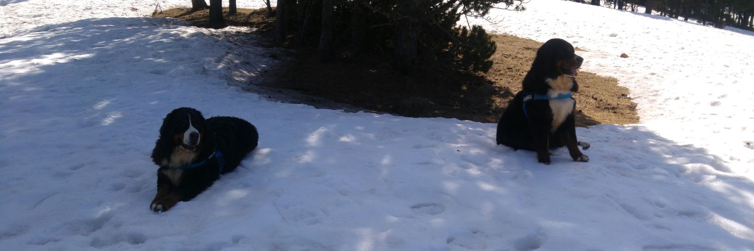 romacabanas's profile banner image