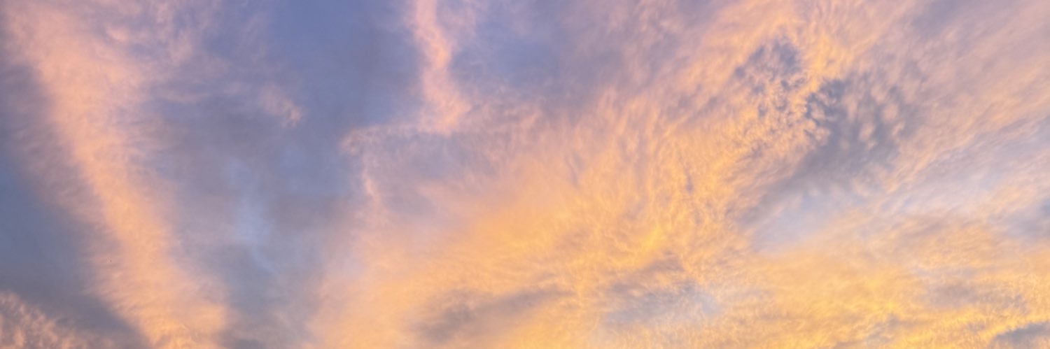 chomesaru's profile banner image
