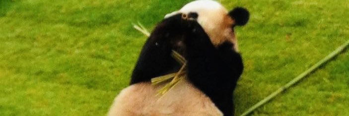 Felipe_mxli's profile banner image