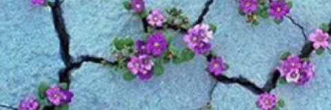 butti1409's profile banner image
