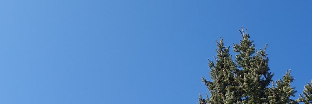 BednorzM's profile banner image