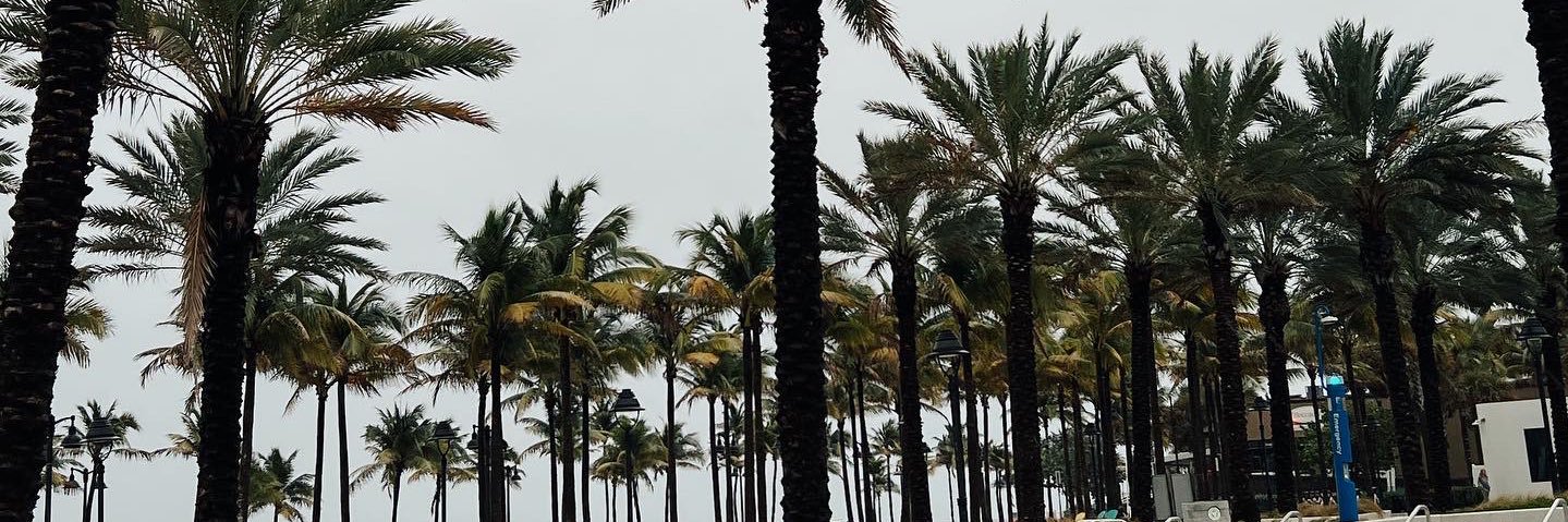 bcollymoree's profile banner image