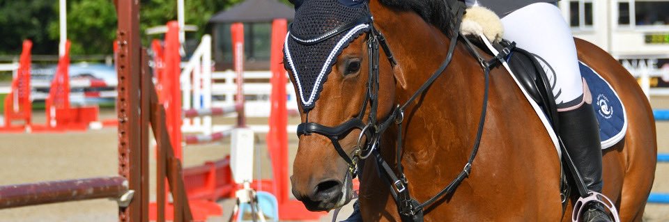 A_L_Equestrian's profile banner image
