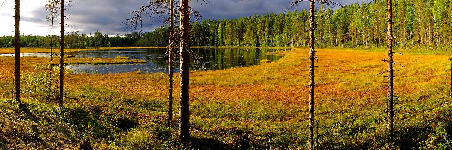 cheviot_publish's profile banner image