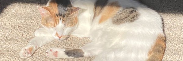 satorimarsh Profile Banner