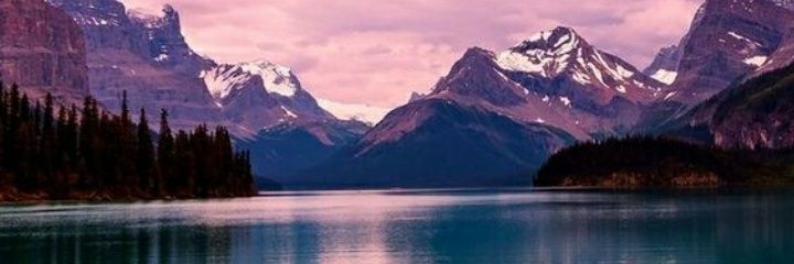 Lady_anny2's profile banner image