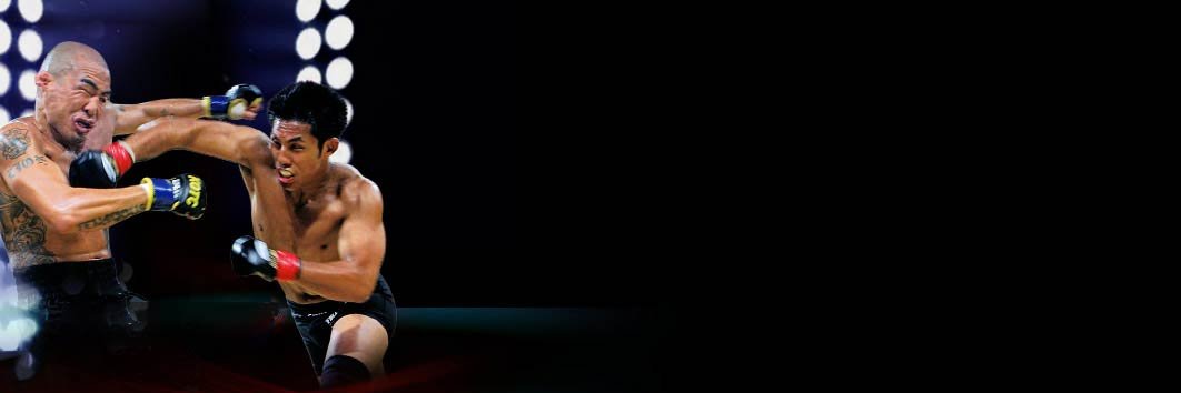 King of the Cage™ banner