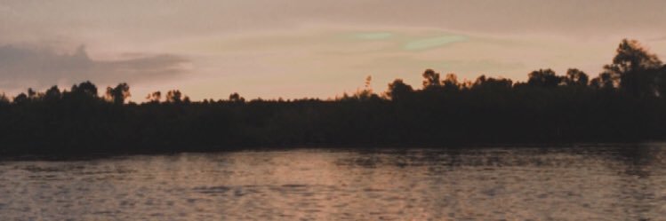 Hello🍄 banner
