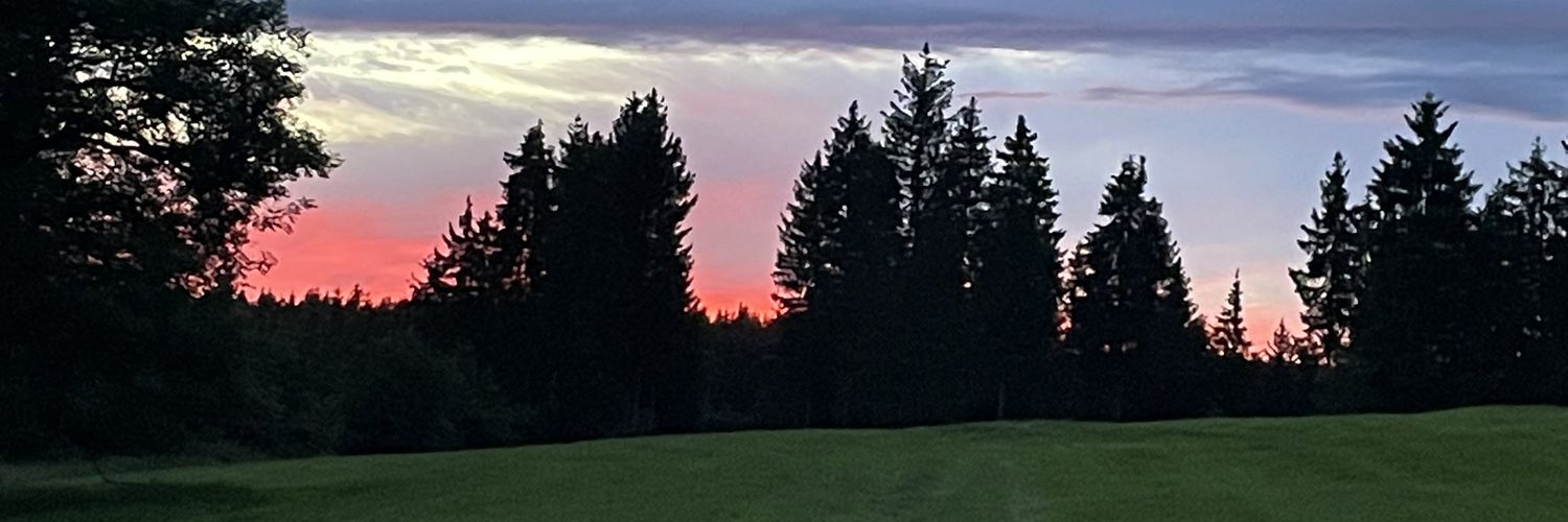 Hier kein Content mehr. banner