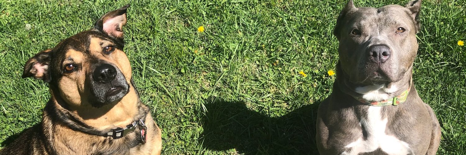 jessdodson's profile banner image