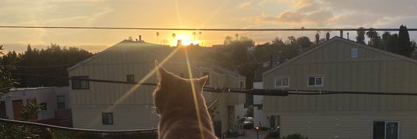 StoltzeFrankly Profile Banner