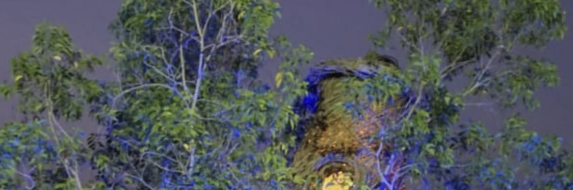 mifthd's profile banner image