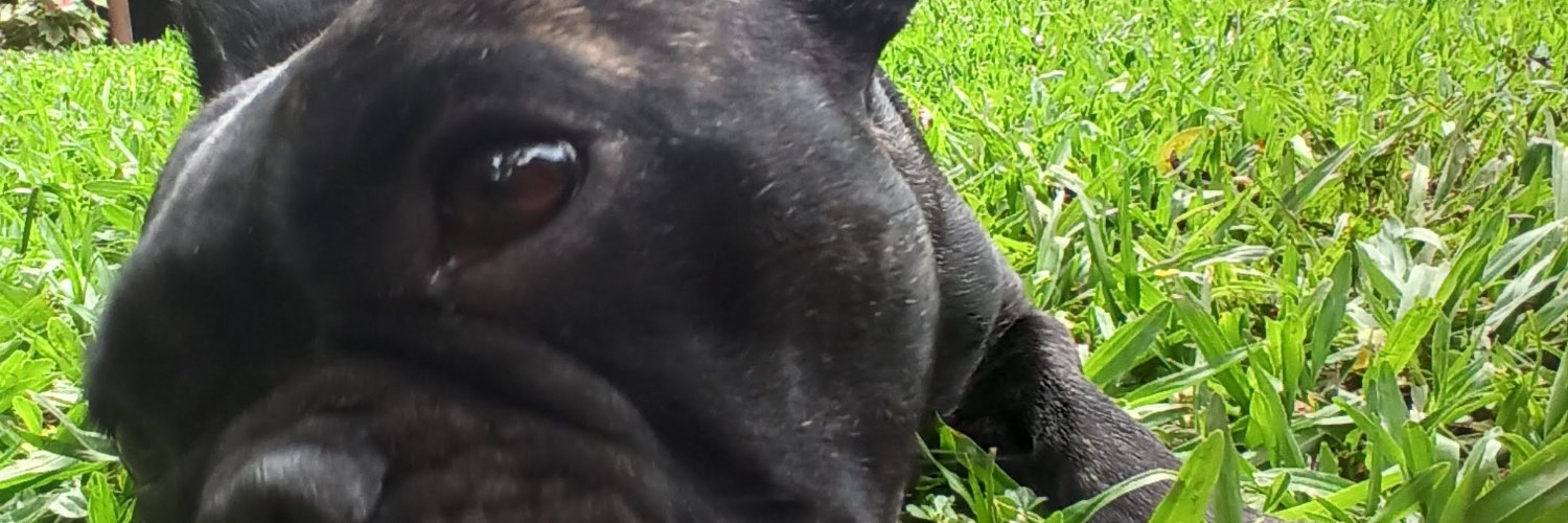 danielFPereira's profile banner image