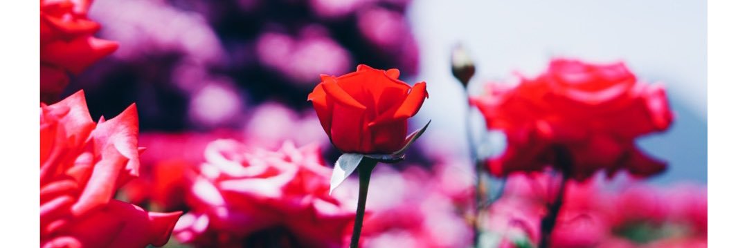 yzk0829's profile banner image
