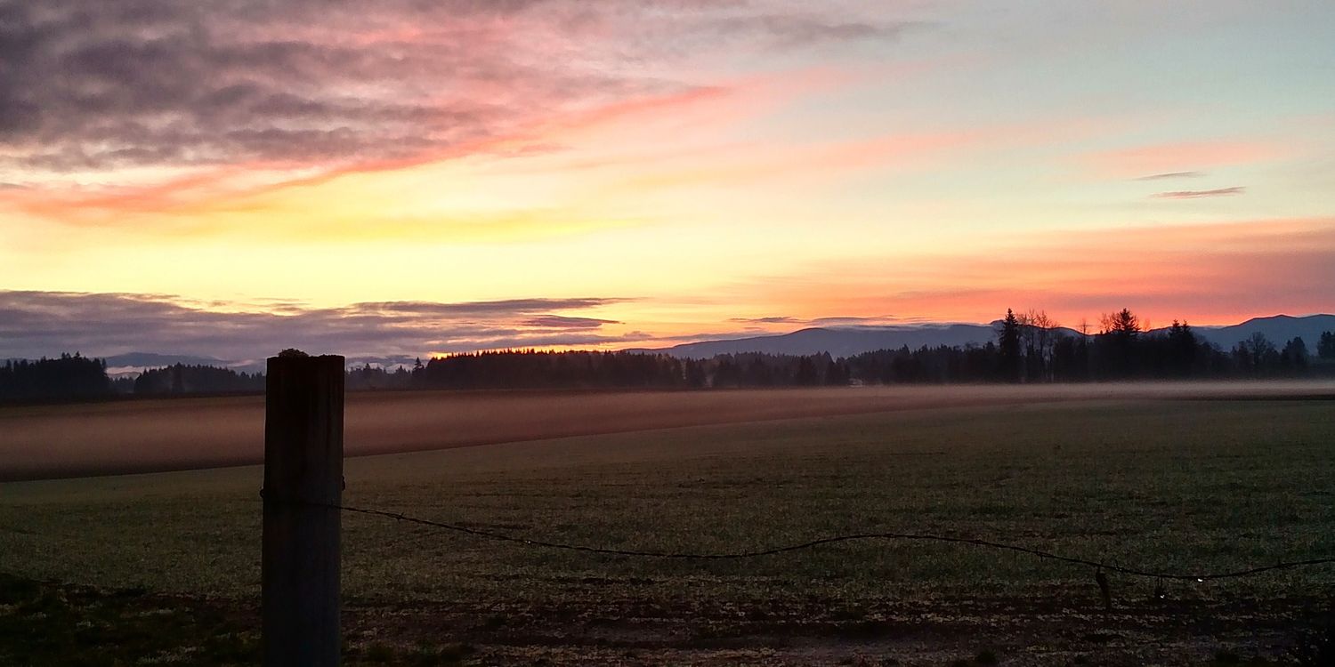 shewbertj's profile banner image