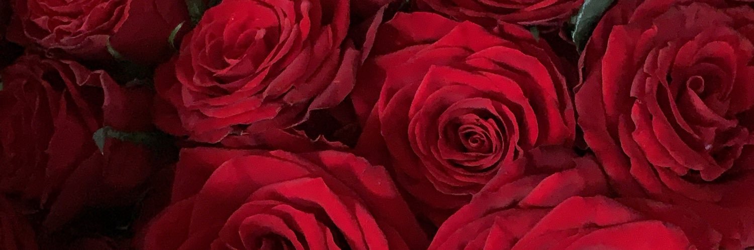 105_bb23's profile banner image