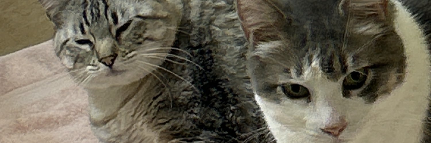 daniel720814's profile banner image
