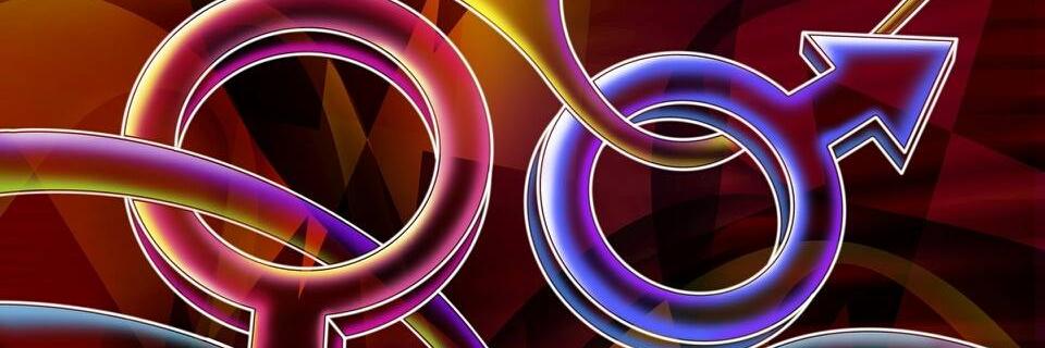 DragStarGroup's profile banner image