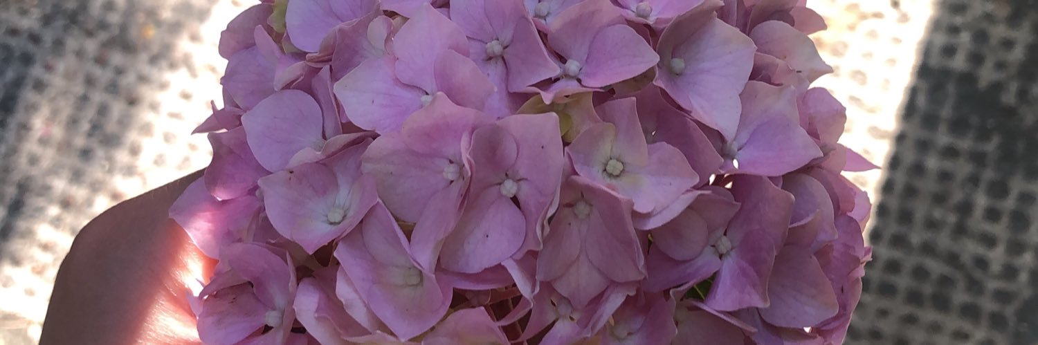 _maddierickhuss's profile banner image