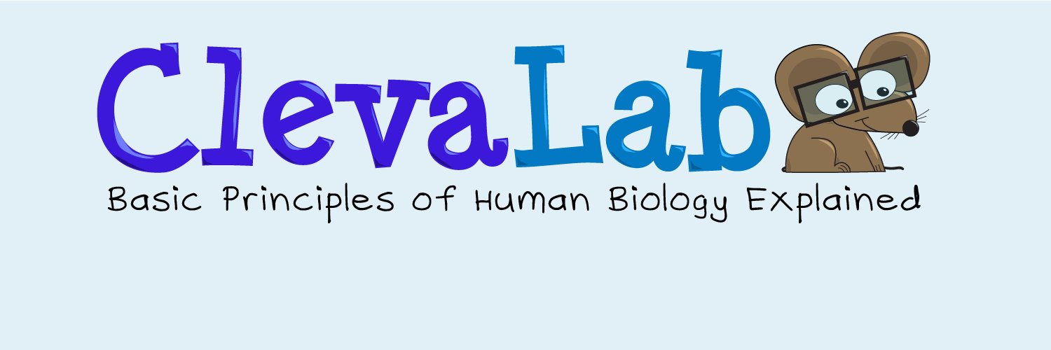 _ClevaLab's profile banner image