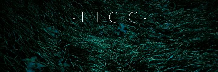 licc_adams's profile banner image