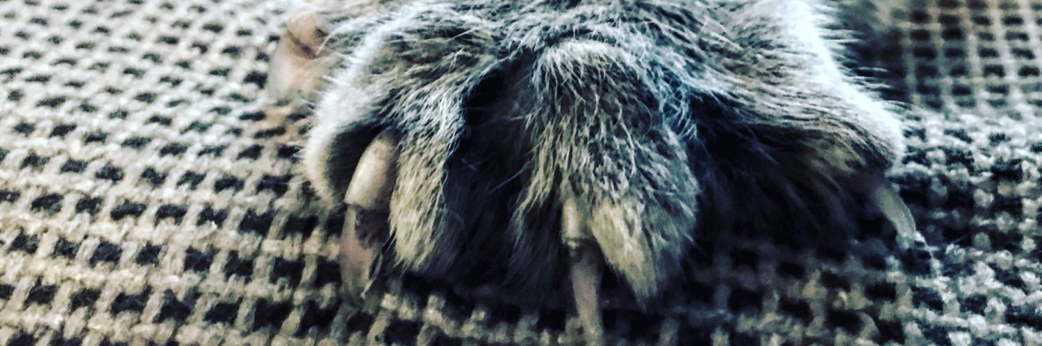 AleksejusP's profile banner image