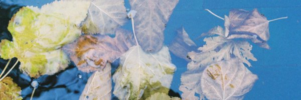 vilainterpreter Profile Banner