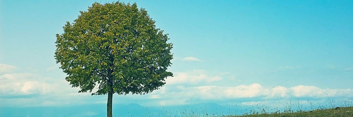 rosadi_rizki's profile banner image