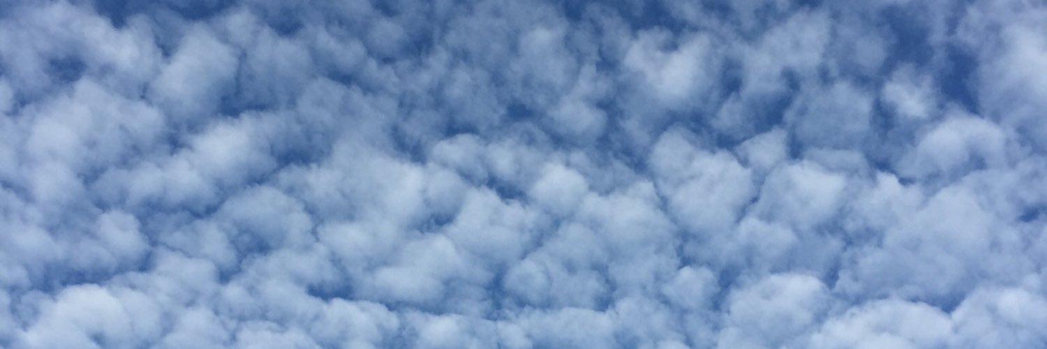 palliatrix's profile banner image