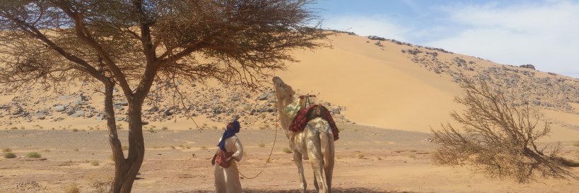 LetsGo2Morocco's profile banner image