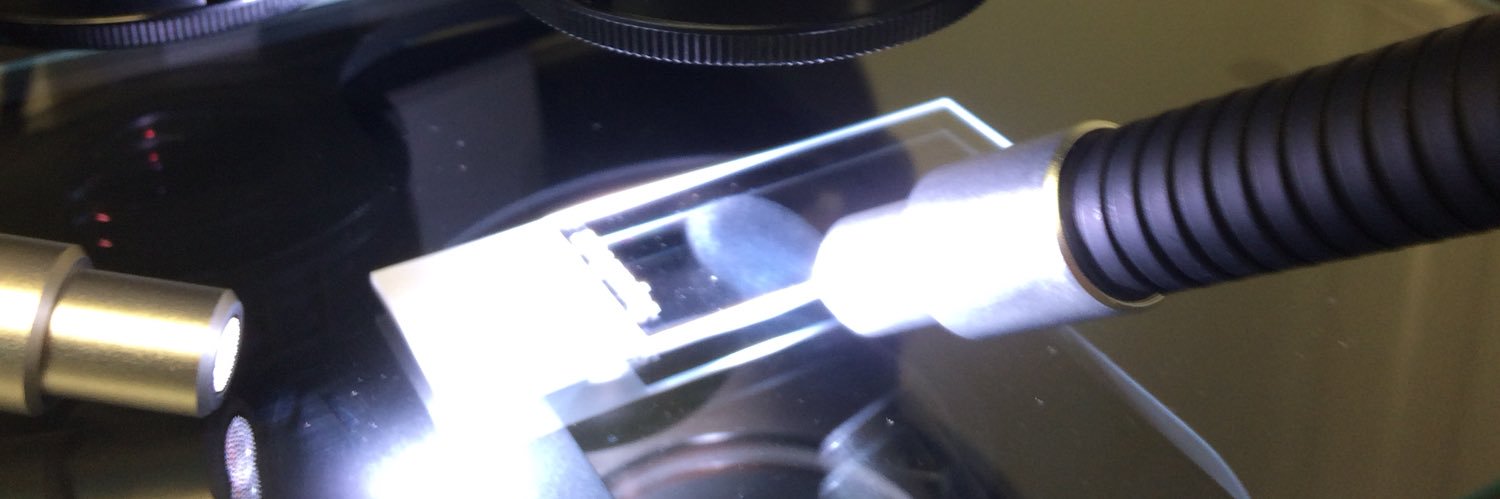 Melanie bailey banner