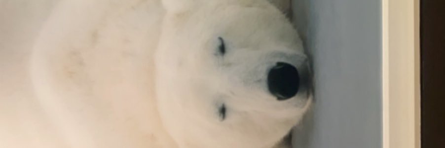 Mitchyw17's profile banner image